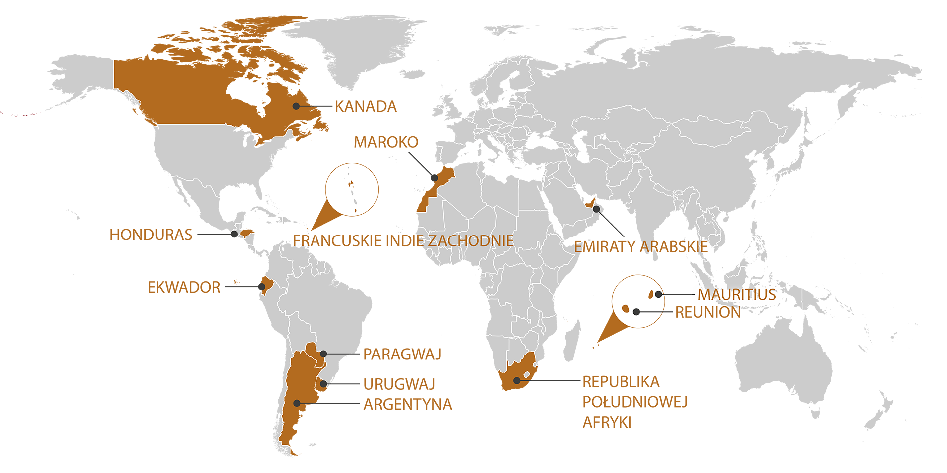 RGIS_FRANCHISE_WORLD_PL
