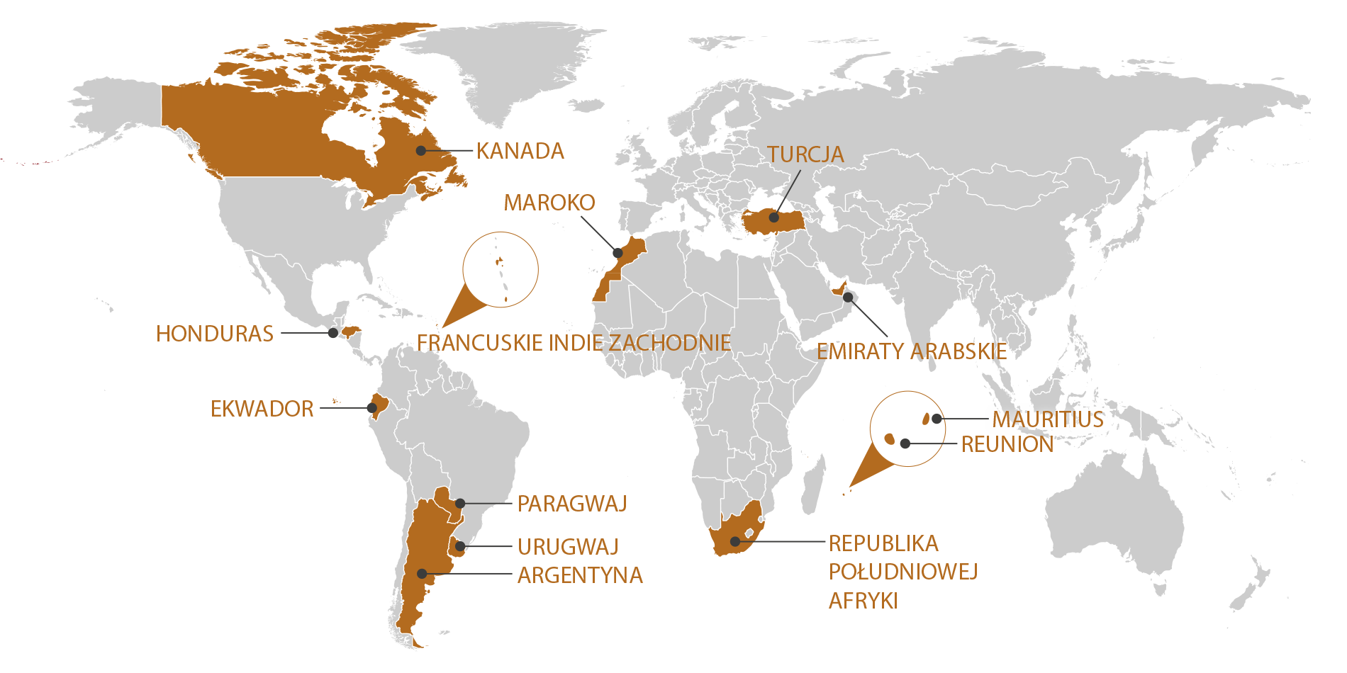 RGIS_FRANCHISE_WORLD_PL_1125. RGIS Franchise